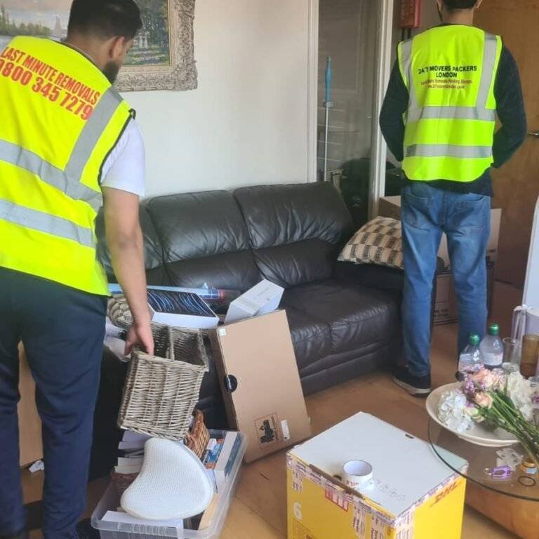 Your Move, Reimagined: Tailored Packing & Storage for Olympia Life